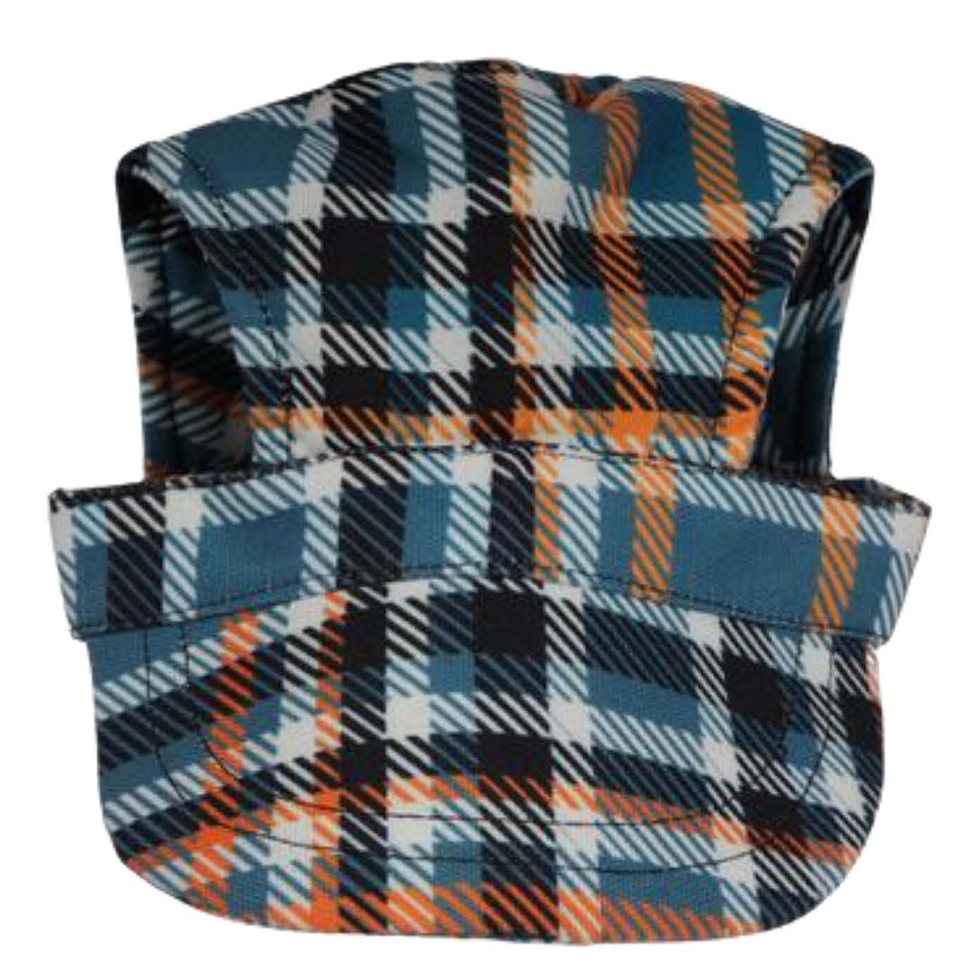 Pet Cap 4